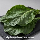 Yaprak Lahana (Collard Yeşillikleri)