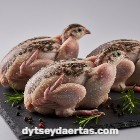 Quail