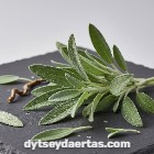 Sage Tea