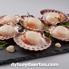 Scallop