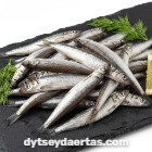 Smelt