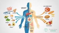 Atkins Diet: The 4 Phases for Weight Loss
