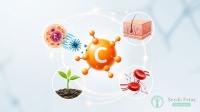 C Vitamini Nedir? En Zengin Besinler ve Eksiklik Belirtileri