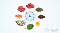 Çinko (Zinc) Hangi Besinlerde Var? Eksikliği Gideren En Hızlı Yöntemler