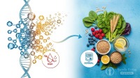 2026 Prediabetes Nutrition Guide: 3-Day Menu and 58% Reversal Strategy
