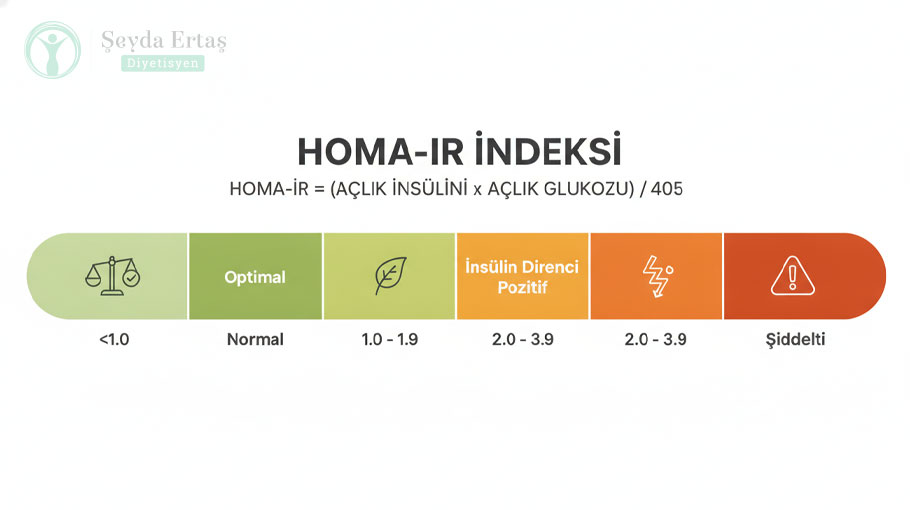 HOMA-IR-formülü-ve-değer-aralıklarını-gösteren-bant-ölçek-infografiği