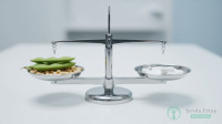 Chemotherapy Nutrition in 2026: Managing Nausea, Taste Changes, Mucositis, and Anorexia