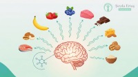 Mutluluk Hormonu (Serotonin) Nasıl Arttırılır? Besinler ve Doğal Yöntemler