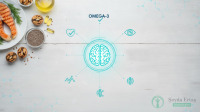 Omega 3 Ne İşe Yarar? Faydaları, Besin Kaynakları ve Kanıt Düzeyi