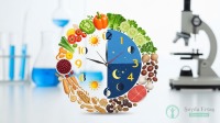 Circadian Diet: 6 Rules for Weight Loss