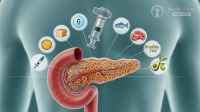 2026 Type 1 Diabetes Nutrition Guide: Carbohydrate Counting, Insulin Matching, and Family Strategy